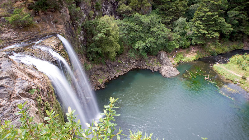 Whangarei_waterfall.jpg