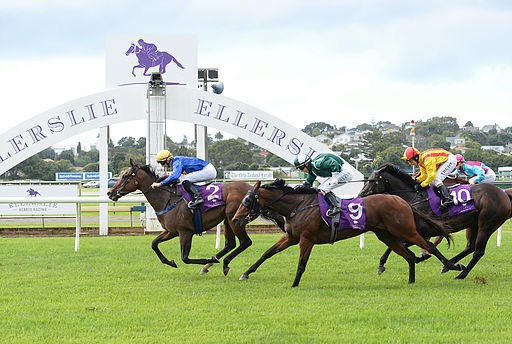 Auckland Racing Club